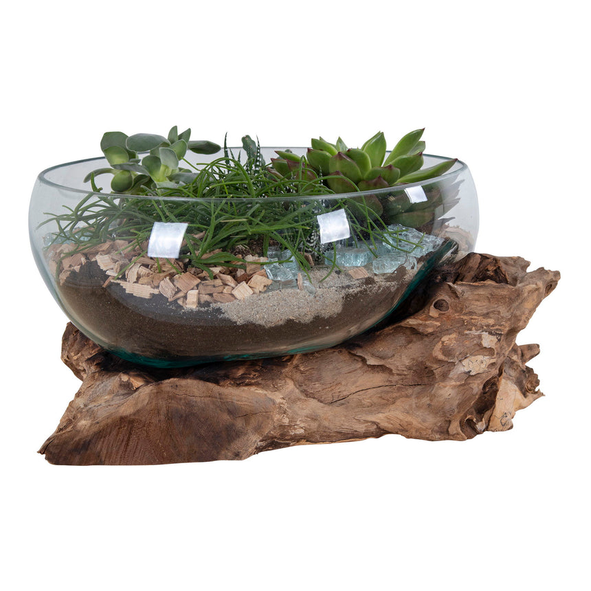 San Marino IV. Waterdrop