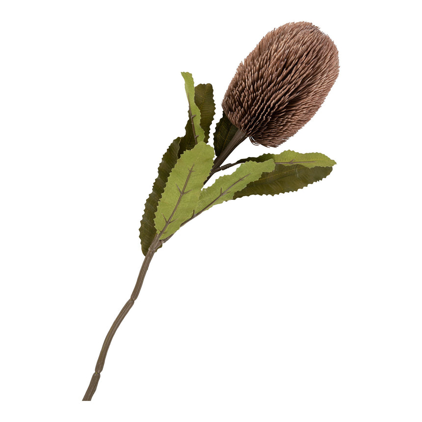 king protea II. csokor