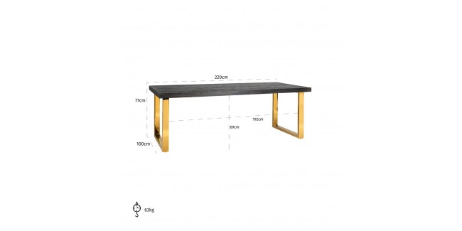 NT Blackbone Étkezőasztal Aranyszínű Lábakkal 100x220