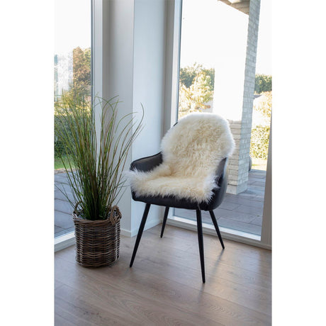 Lambskin I.