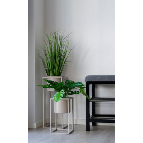 monstera I.