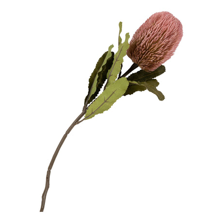 king protea I. csokor