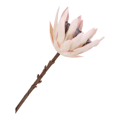 king protea II. csokor