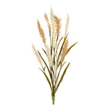 Decorative fű