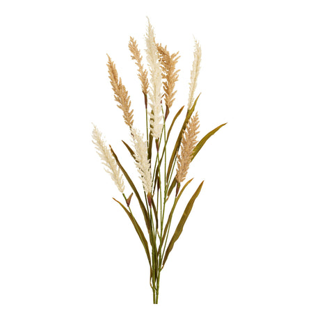 Decorative fű