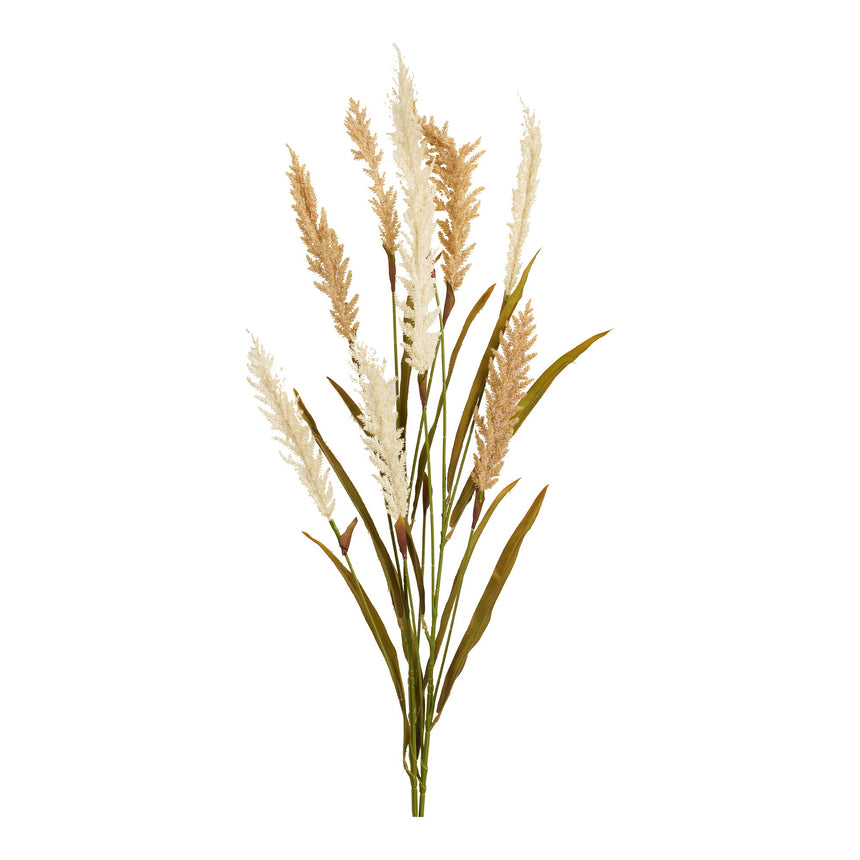Decorative fű