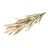 Decorative fű
