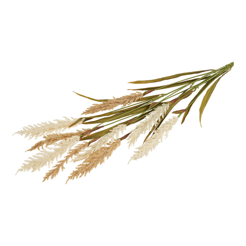 Decorative fű