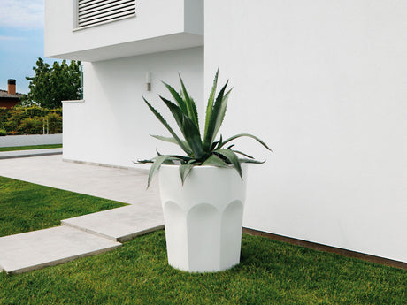 Cubalibre kaspó