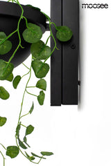 33. Plant Wall fali lámpa fekete