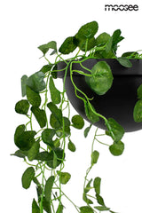 33. Plant Wall fali lámpa fekete