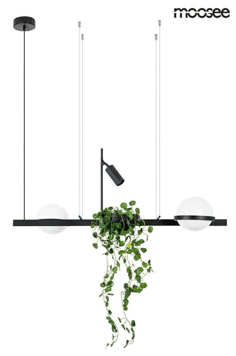 32. Plant függőlámpa fekete