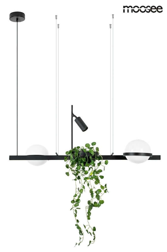32. Plant függőlámpa fekete
