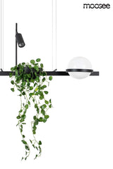 32. Plant függőlámpa fekete